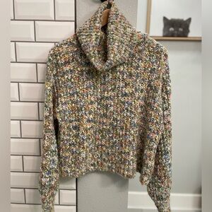 Mystree Turtleneck Cropped Sweater